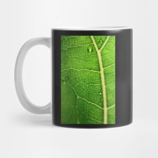 Fiddle Leaf Ficus Mug